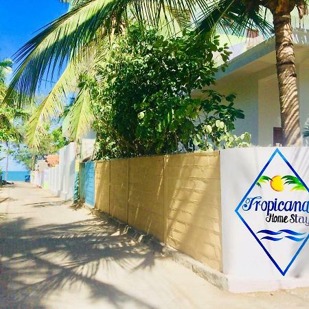 Tropicana Home Stay Arugam Bay Zewnętrze zdjęcie