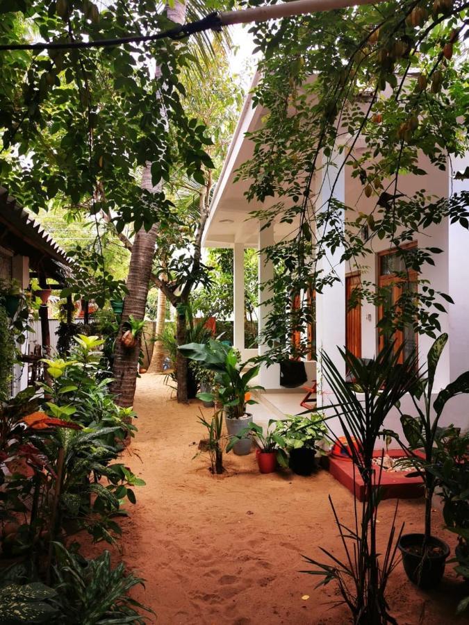 Tropicana Home Stay Arugam Bay Zewnętrze zdjęcie