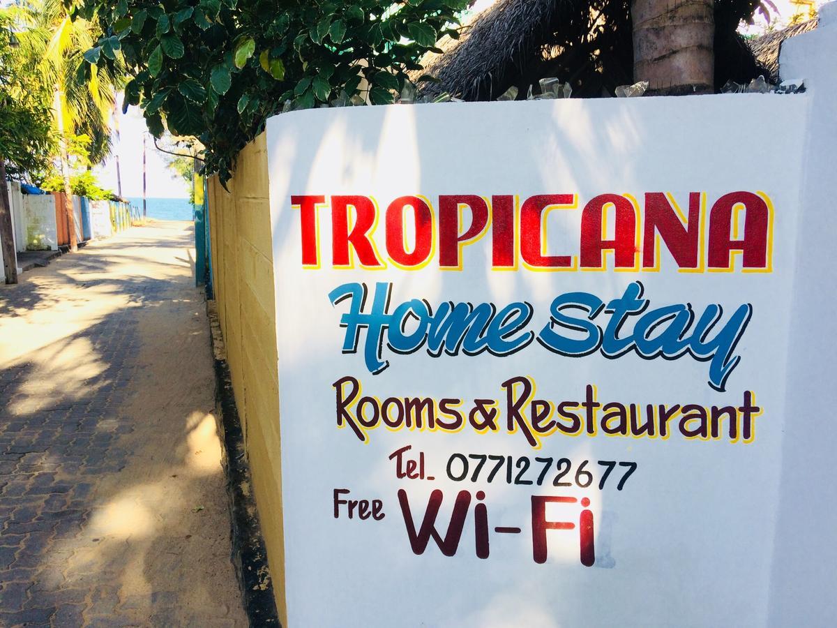 Tropicana Home Stay Arugam Bay Zewnętrze zdjęcie