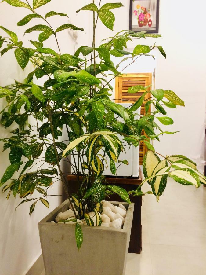 Tropicana Home Stay Arugam Bay Zewnętrze zdjęcie
