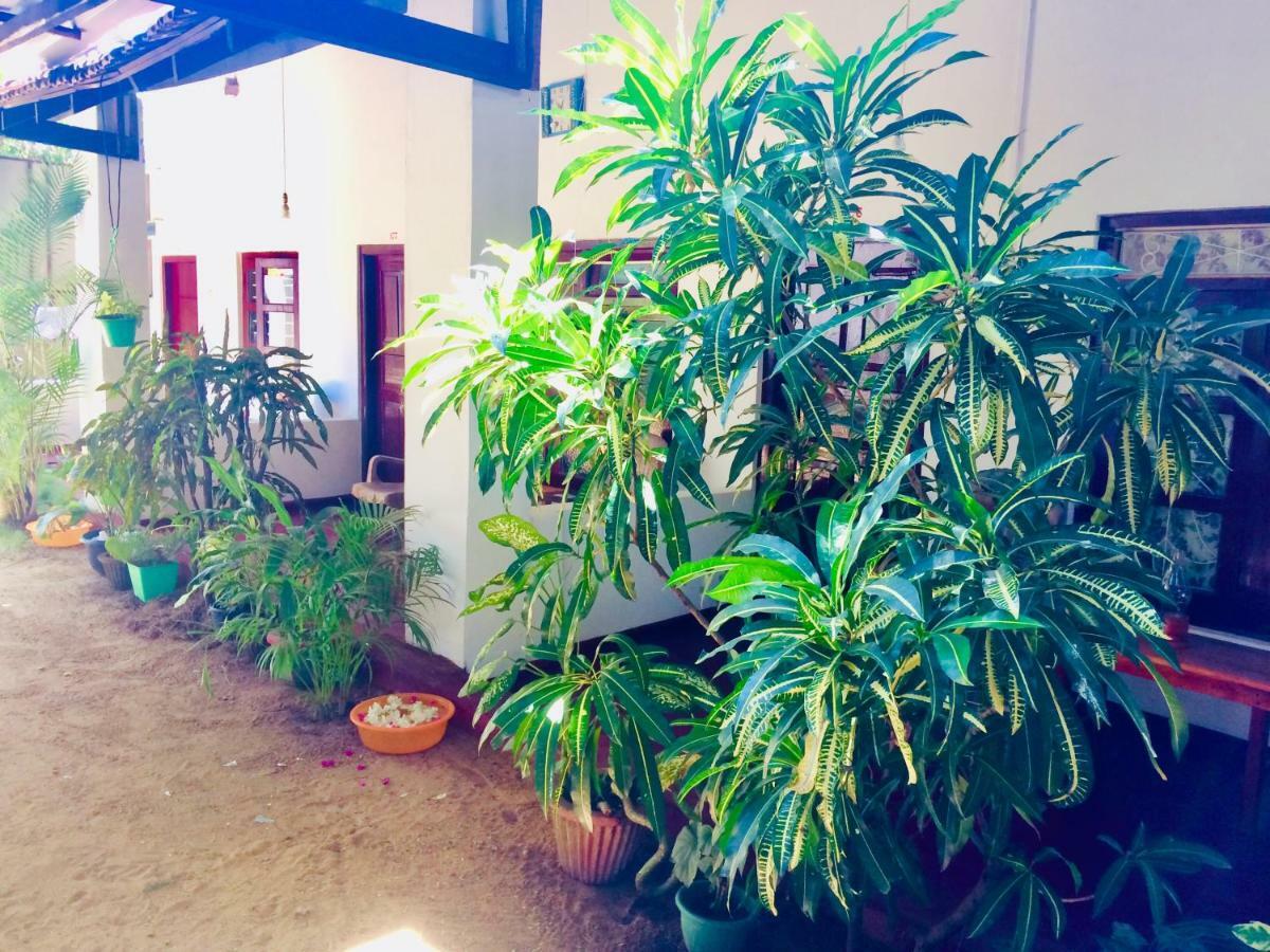 Tropicana Home Stay Arugam Bay Zewnętrze zdjęcie