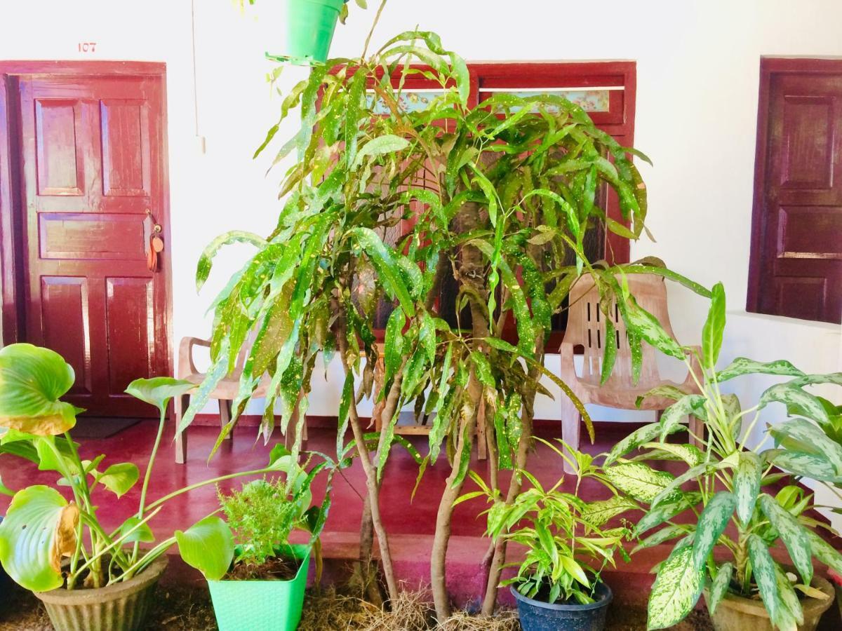Tropicana Home Stay Arugam Bay Zewnętrze zdjęcie