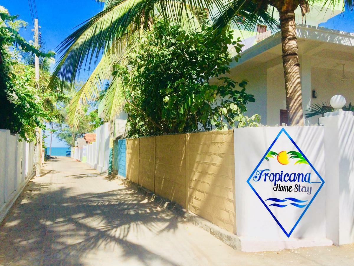 Tropicana Home Stay Arugam Bay Zewnętrze zdjęcie